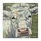 Stupell Industries Pearl Of The Pasture Canvas, design by Sara G. Designs